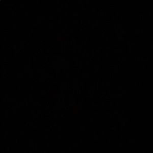 Meet your Posher, Aleix